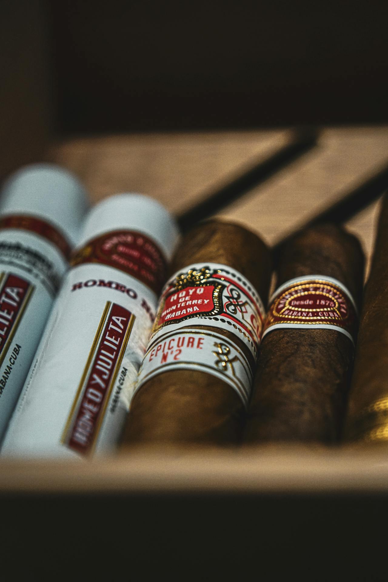 Cigare Casa — στιγμή από τη συλλογή πούρων